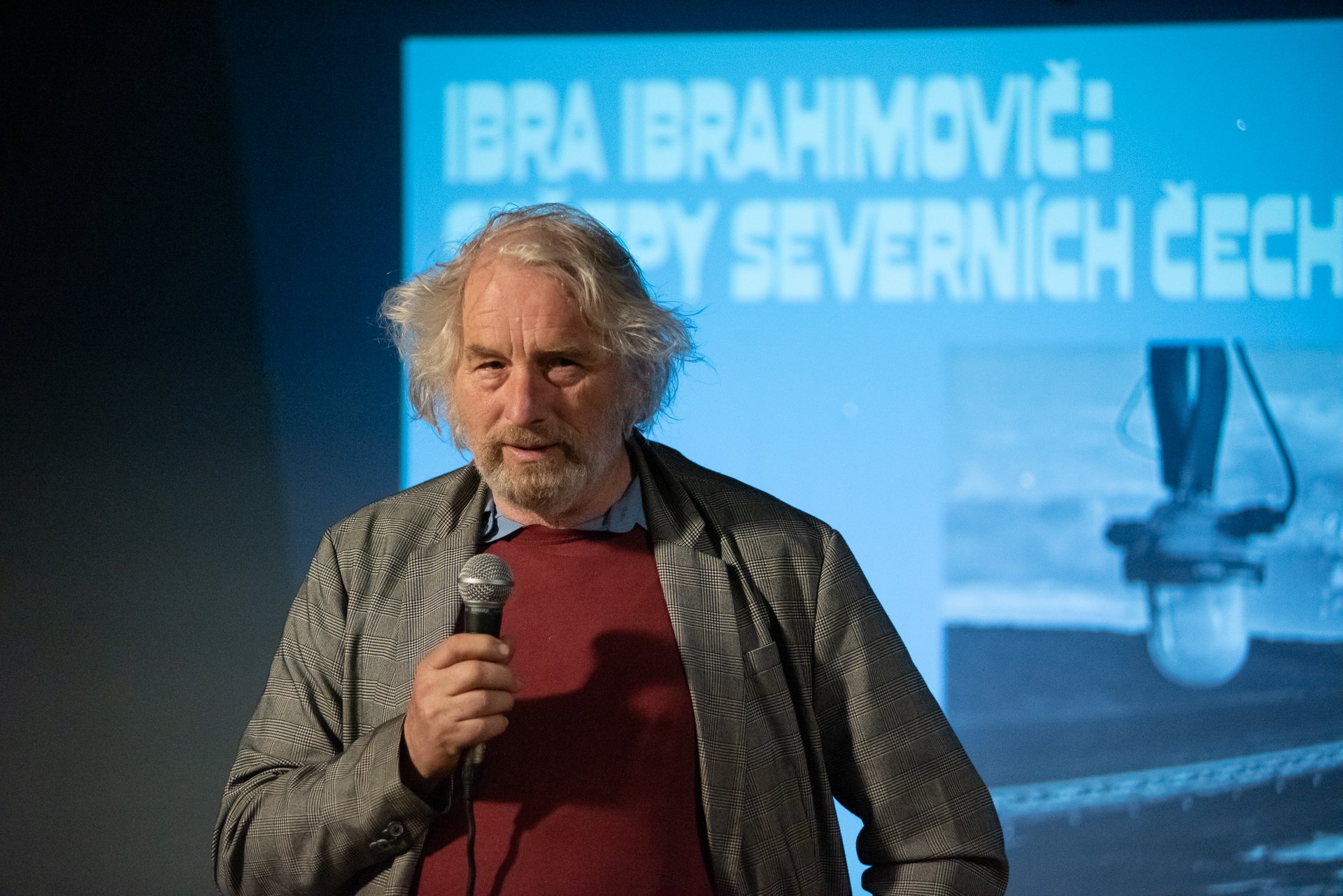 ibra-ibrahimovac-vernisaz-1030-DSD-9478.jpeg